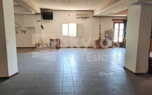 Δύο κατοικίες στη Χώρα Σκύρου