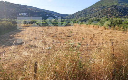 Αγροτεμάχιο στη περιοχή Γερούλι
